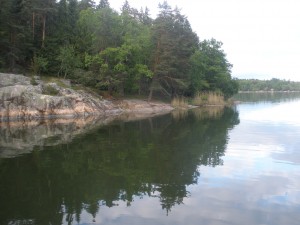 P5310186