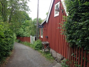 IMG_0108