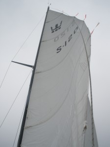 P6030194