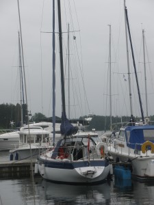 P6030209