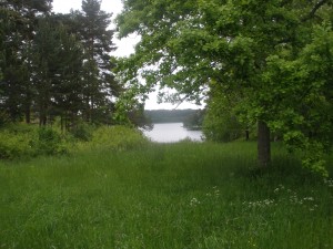 P6040224