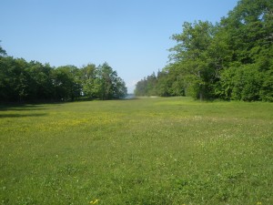 P6070262