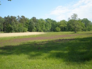 P6070266