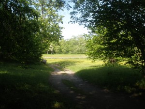 P6070270