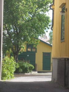 P6090300