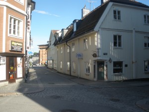 P6090303