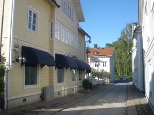 P6090307