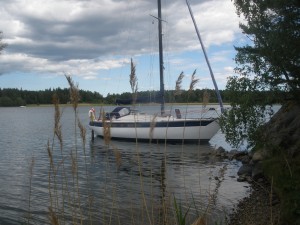 P6150337