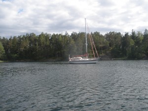 P6160352