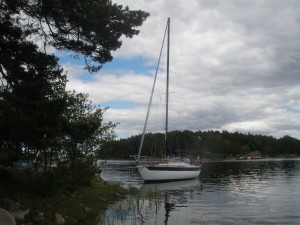 P6210363