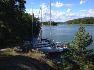 IMG_0198