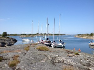IMG_0340