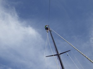 IMGP4417