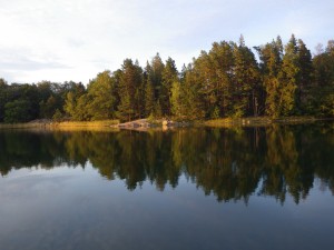 IMGP4533