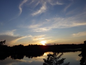 IMGP4637