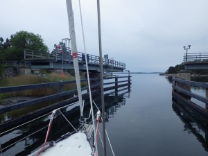 IMGP4841