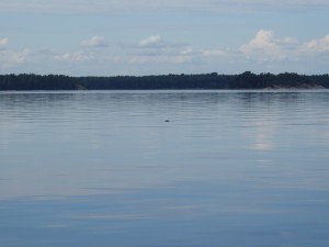 IMGP4847