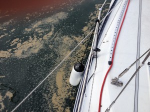 IMG_0373
