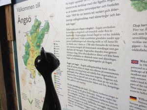 Reading up on the history of Ängsö.