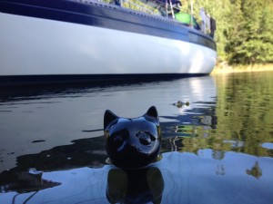 A nice swim in the lovely water.