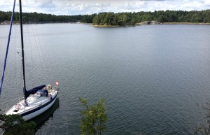 IMG_0623_1