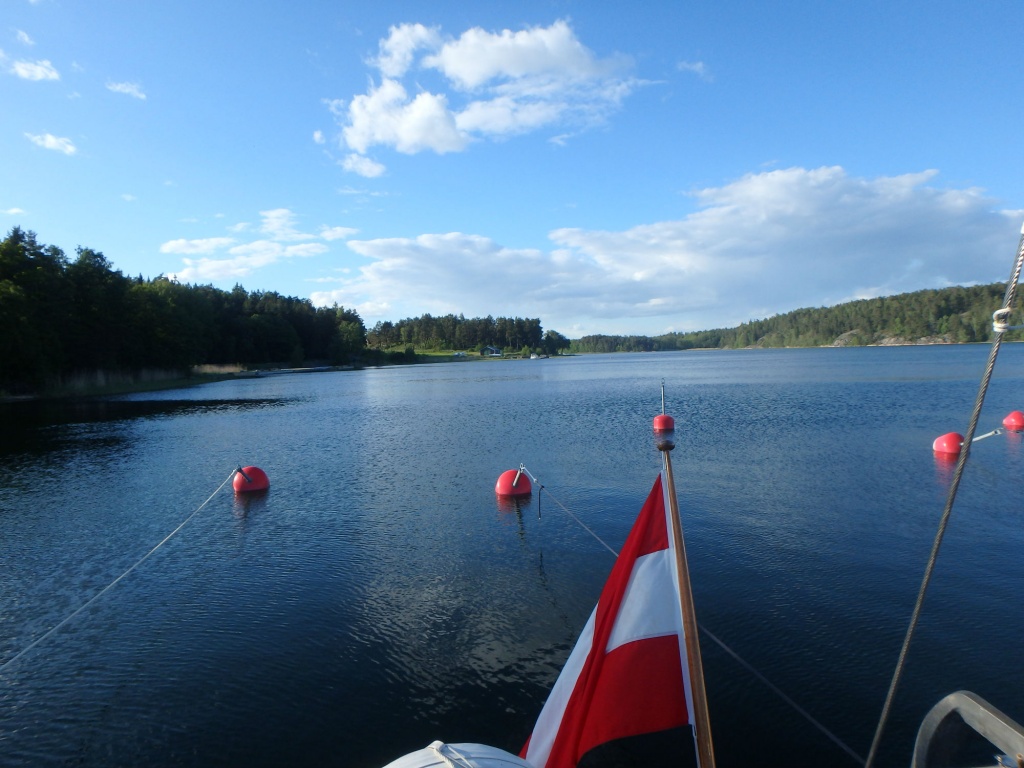 P6040305_a