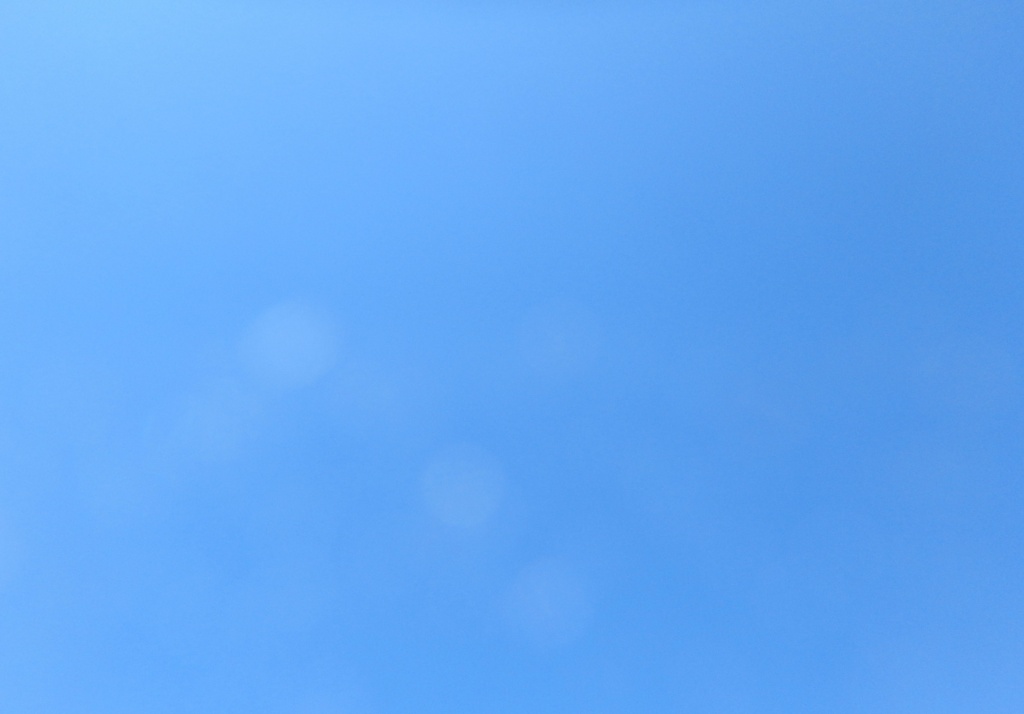 P6050328_a