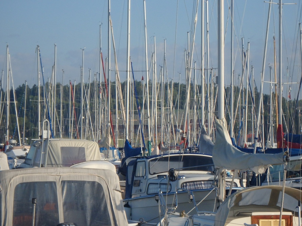 P8240001_a