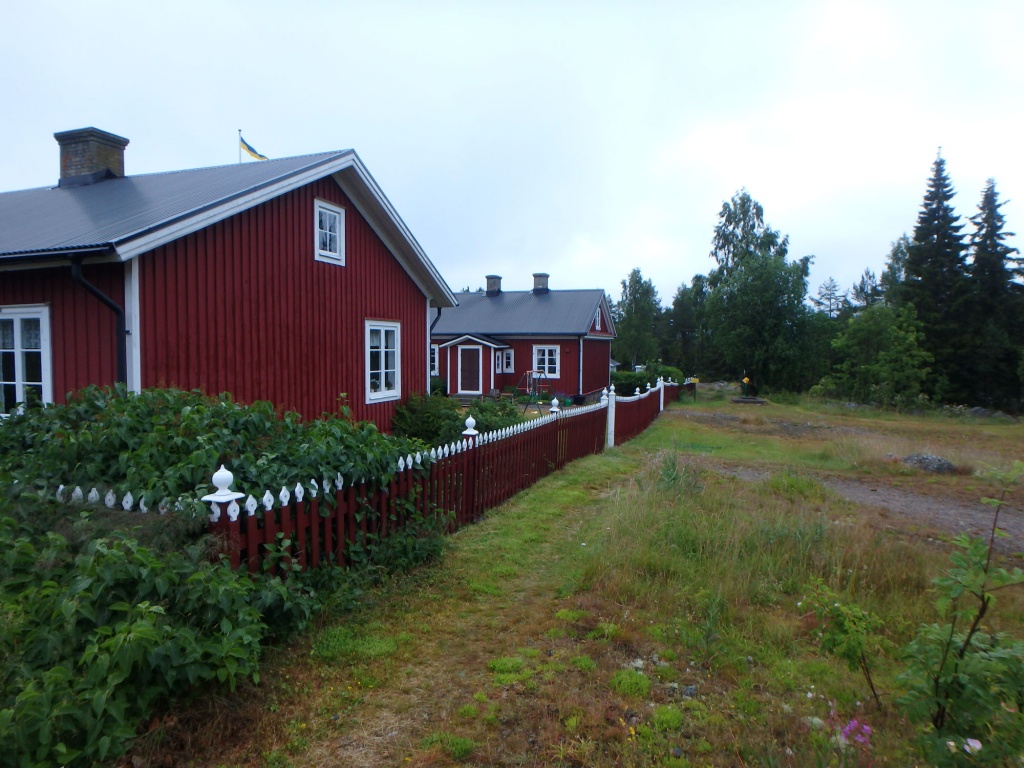 P7080976_a