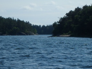 P7121044_a