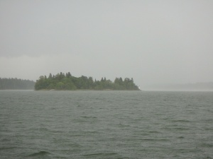 P7151105_a
