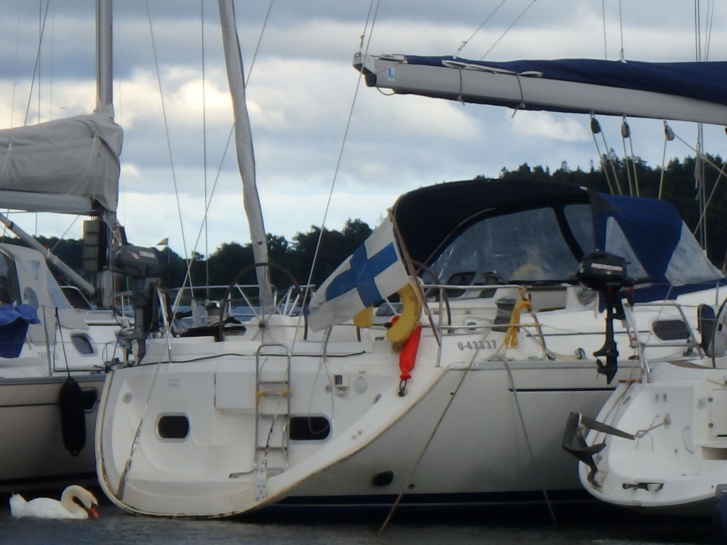 P7261330_aa