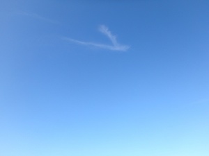 P8061556_a